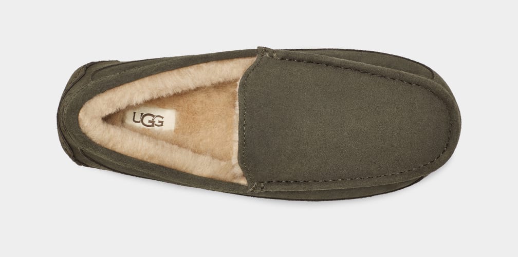 Mocasines Ugg Ascot Hombre Gris | Argentina ILCBJOF-30