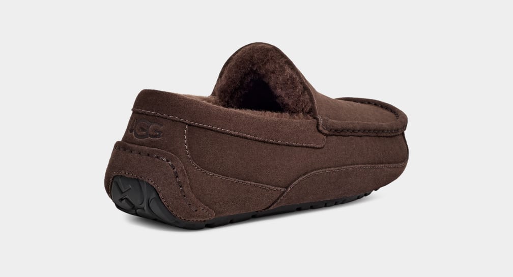 Mocasines Ugg Ascot Hombre Marrones | Argentina SXAKCTP-50