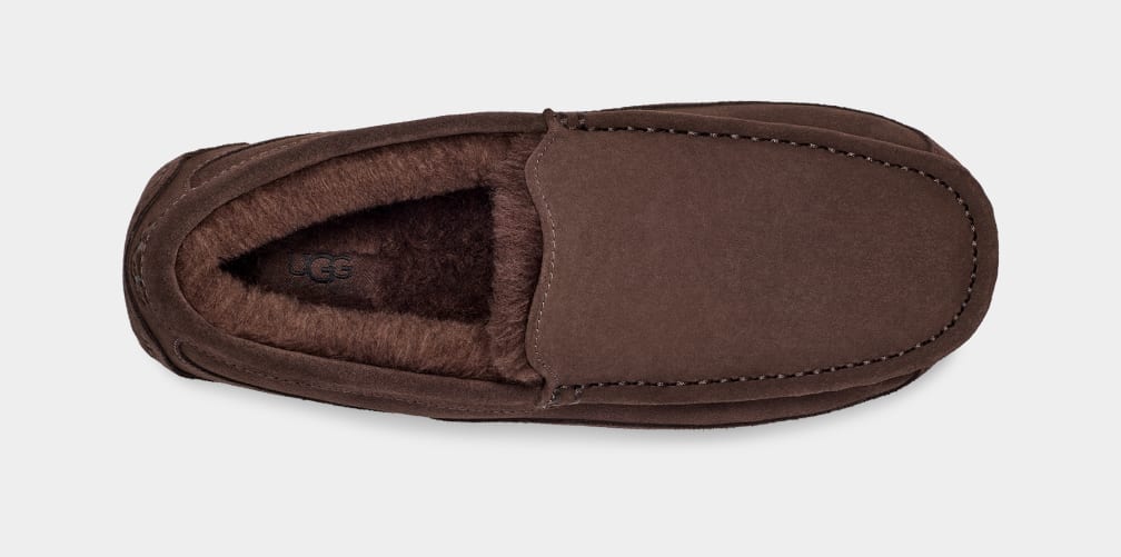 Mocasines Ugg Ascot Hombre Marrones | Argentina SXAKCTP-50