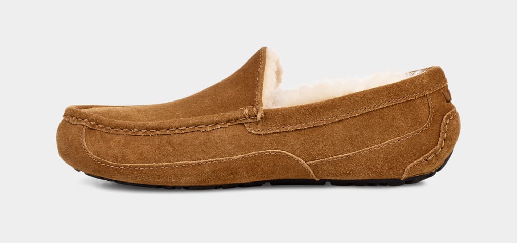 Mocasines Ugg Ascot Hombre Marrones | Argentina UZEBKOQ-51