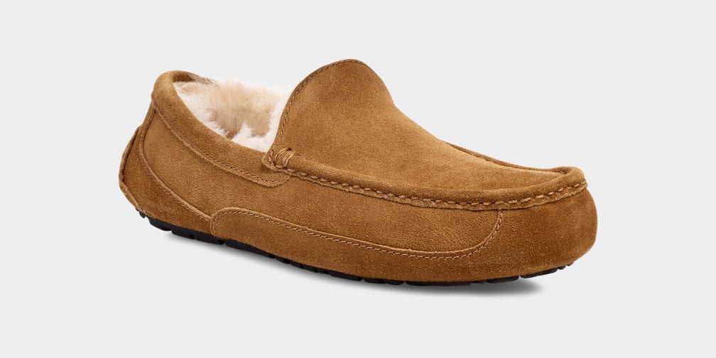 Mocasines Ugg Ascot Hombre Marrones | Argentina UZEBKOQ-51