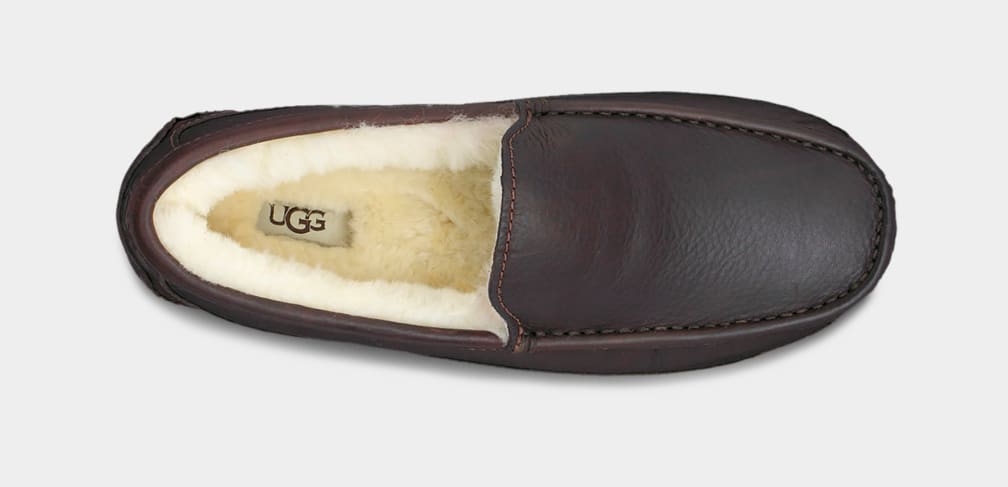 Mocasines Ugg Ascot Leather Hombre Marrones Oscuro | Argentina SICPQKV-28