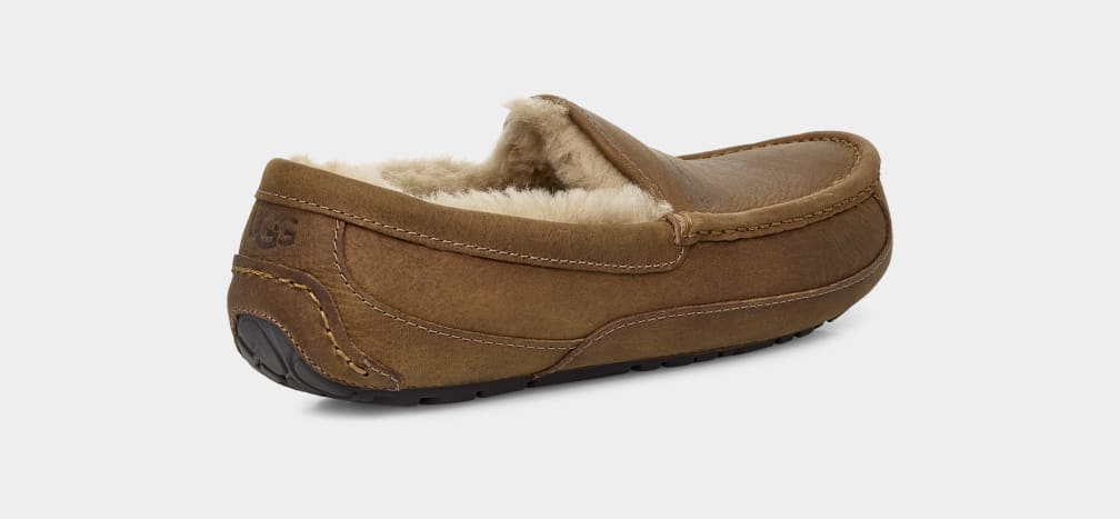 Mocasines Ugg Ascot Matte Leather Hombre Marrones | Argentina VPJOYAQ-87