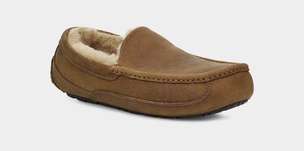 Mocasines Ugg Ascot Matte Leather Hombre Marrones | Argentina VPJOYAQ-87