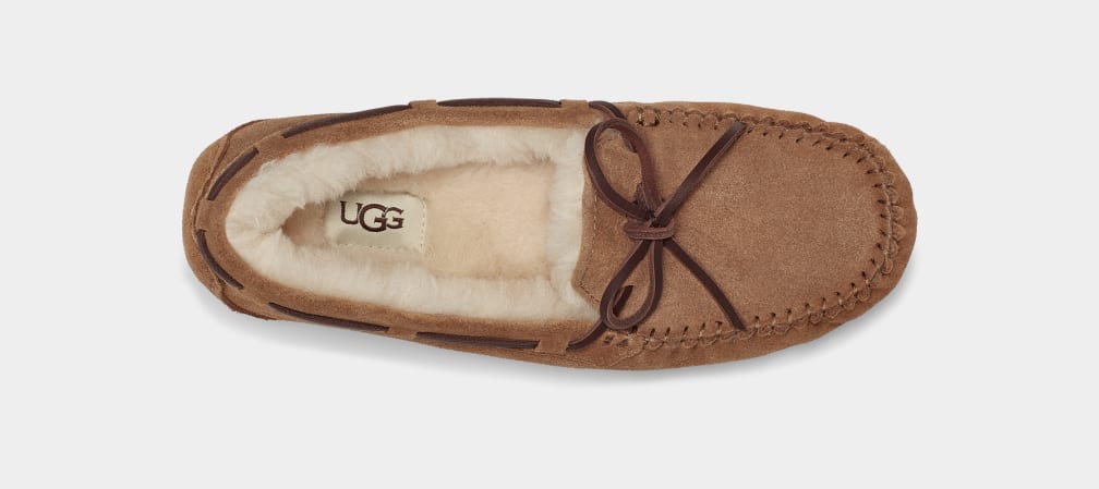 Mocasines Ugg Dakota Mujer Marrones | Argentina TJZNMBQ-40