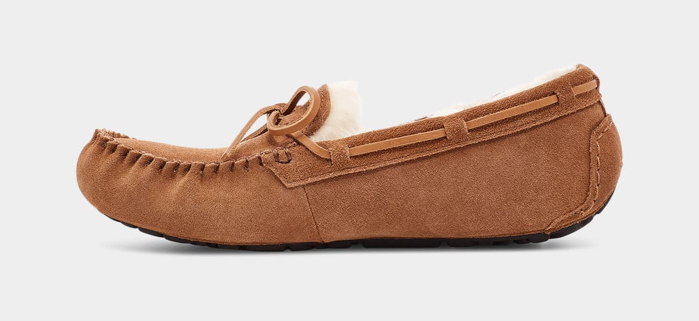 Mocasines Ugg Olsen Hombre Marrones | Argentina GMLWXVR-37