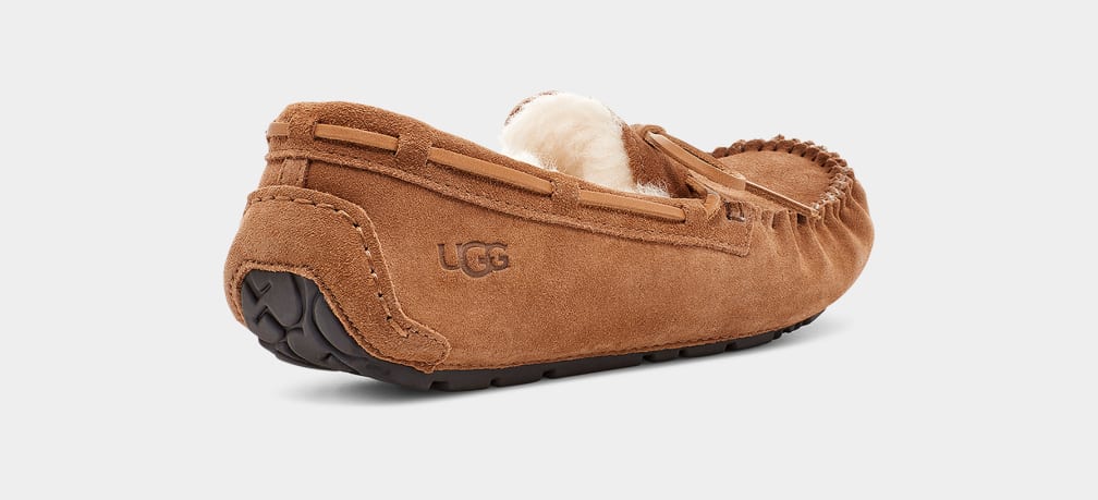 Mocasines Ugg Olsen Hombre Marrones | Argentina GMLWXVR-37