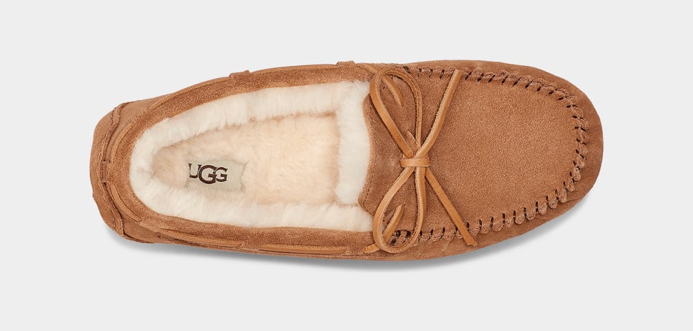 Mocasines Ugg Olsen Hombre Marrones | Argentina GMLWXVR-37