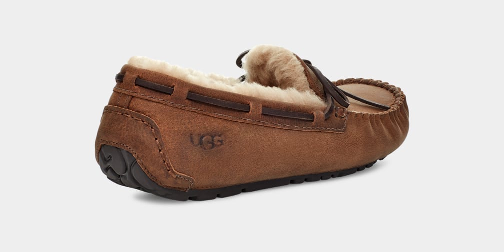 Mocasines Ugg Olsen Hombre Marrones | Argentina ZAWCNEM-42