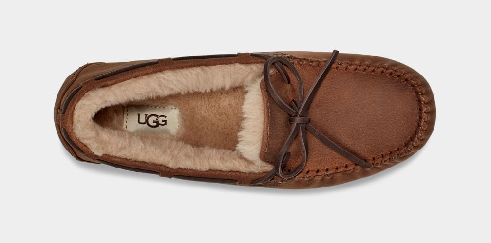 Mocasines Ugg Olsen Hombre Marrones | Argentina ZAWCNEM-42