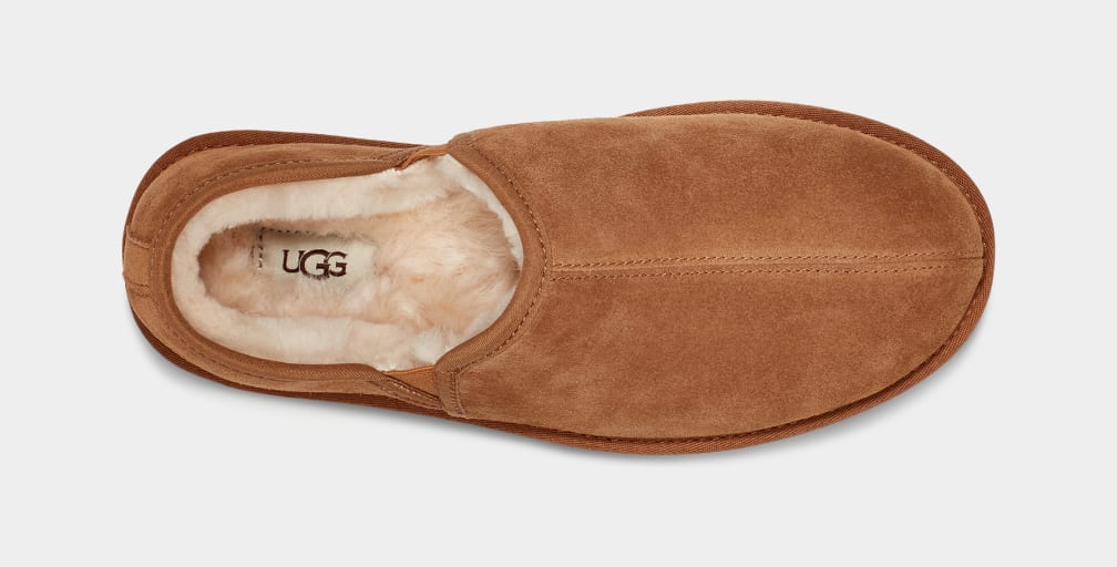 Mocasines Ugg Scuff Romeo II Hombre Marrones | Argentina DSMPHQR-56