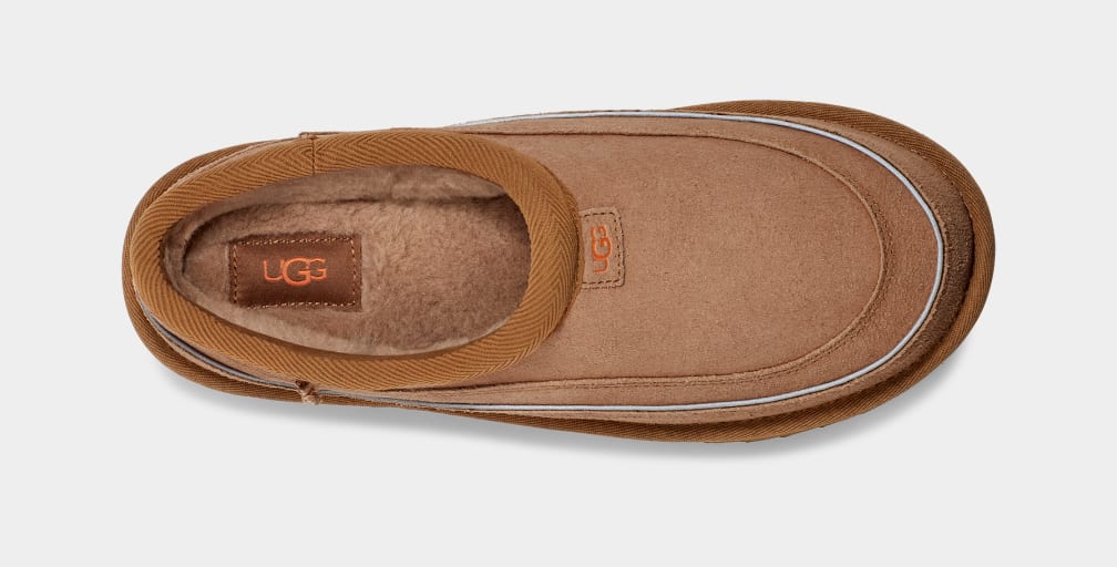 Mocasines Ugg Tasman Cali Wave Hombre Marrones Naranjas | Argentina LCFJXYW-26