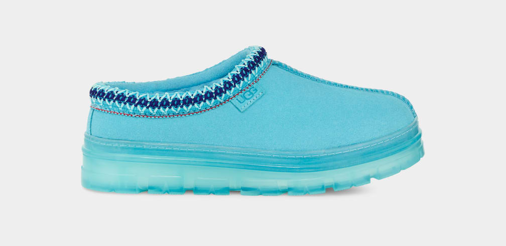 Mocasines Ugg Tasman Clear Mujer Azules | Argentina RWDYHZI-64