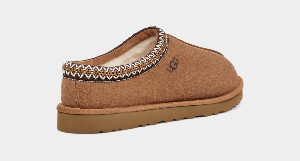 Mocasines Ugg Tasman Hombre Marrones | Argentina DCWRQEU-39