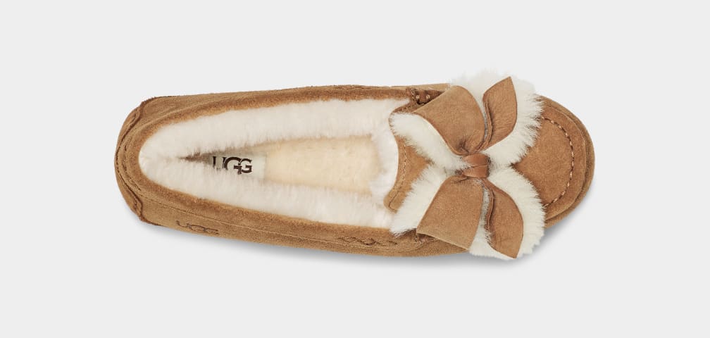 Pantuflas Ugg Ansley Heritage Bow Mujer Marrones | Argentina FGYVRUQ-75