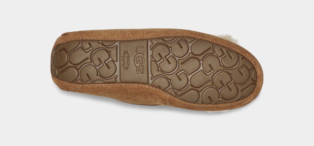 Pantuflas Ugg Ansley Heritage Bow Mujer Marrones | Argentina FGYVRUQ-75