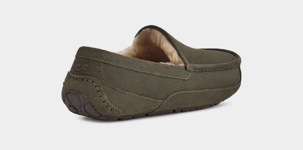 Pantuflas Ugg Ascot Hombre Gris | Argentina LJKYSIA-65