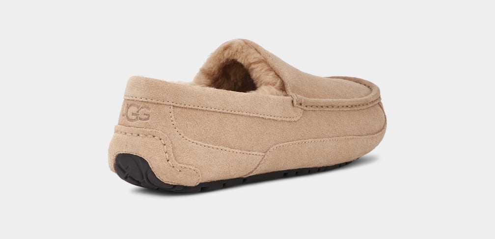 Pantuflas Ugg Ascot Hombre Marrones | Argentina EROFQZB-57