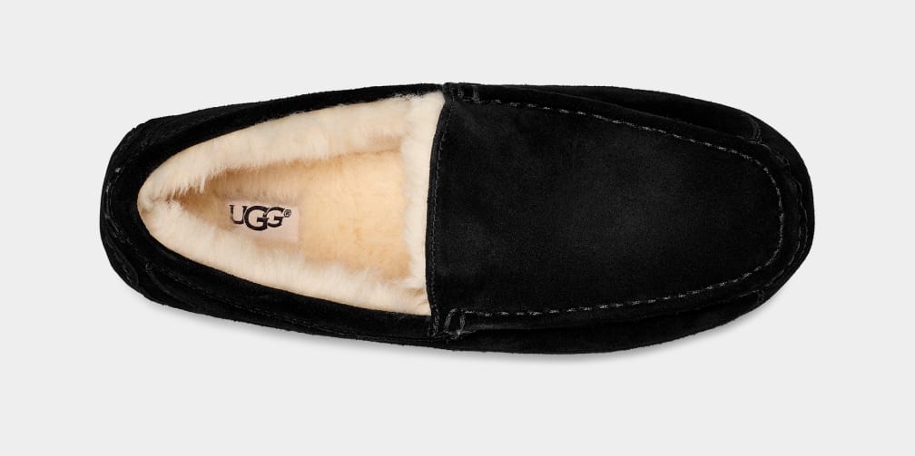 Pantuflas Ugg Ascot Hombre Negras | Argentina MZKJBFC-71