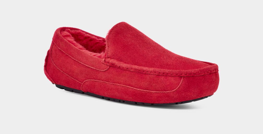 Pantuflas Ugg Ascot Hombre Rojas | Argentina TKFJYZU-08