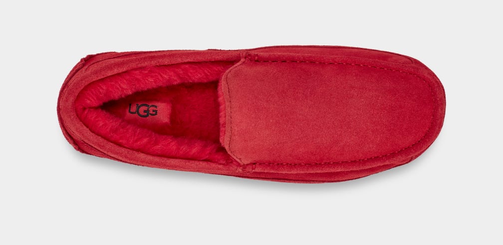 Pantuflas Ugg Ascot Hombre Rojas | Argentina TKFJYZU-08