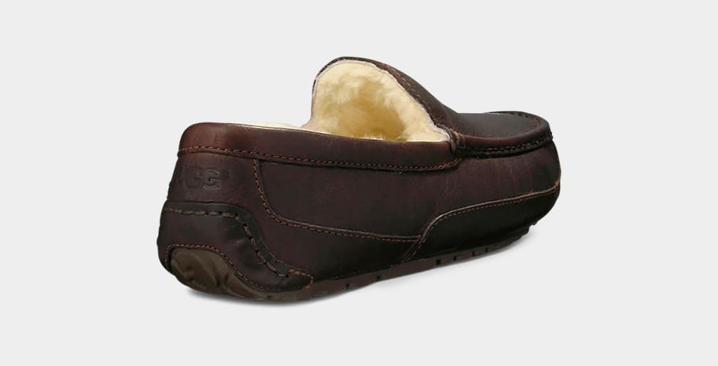 Pantuflas Ugg Ascot Leather Hombre Marrones Oscuro | Argentina ACTQJFI-45