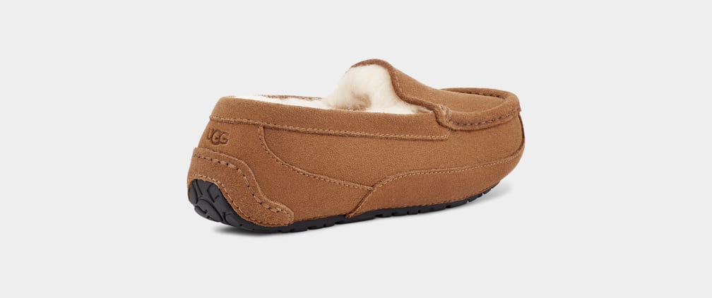 Pantuflas Ugg Ascot Niños Marrones | Argentina FNDYRVH-52