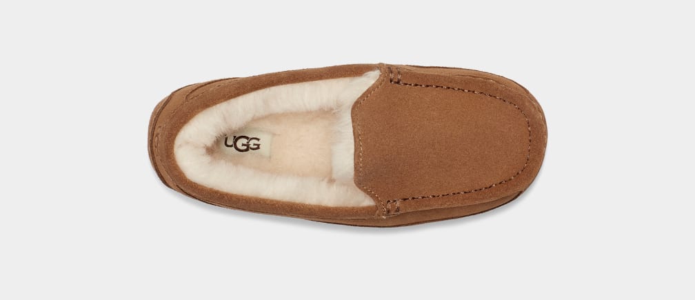 Pantuflas Ugg Ascot Niños Marrones | Argentina FNDYRVH-52