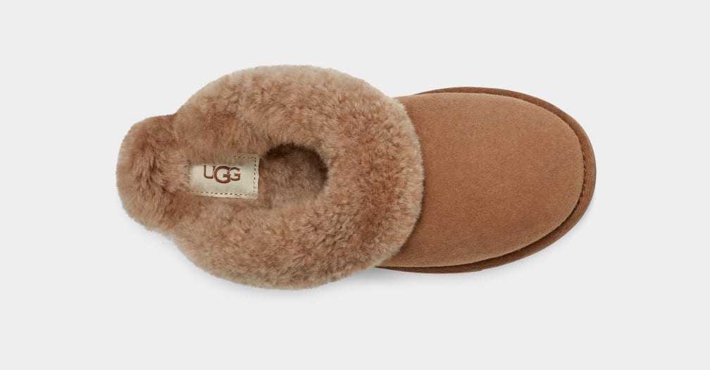 Pantuflas Ugg Classic II Mujer Marrones | Argentina XCLMJSU-42