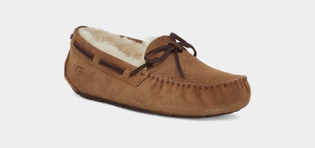 Pantuflas Ugg Dakota Mujer Marrones | Argentina YSBCQOX-54