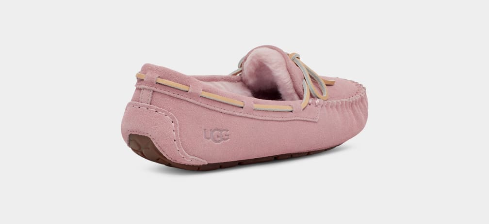 Pantuflas Ugg Dakota Mujer Rosas Gris | Argentina JUAYWRF-62