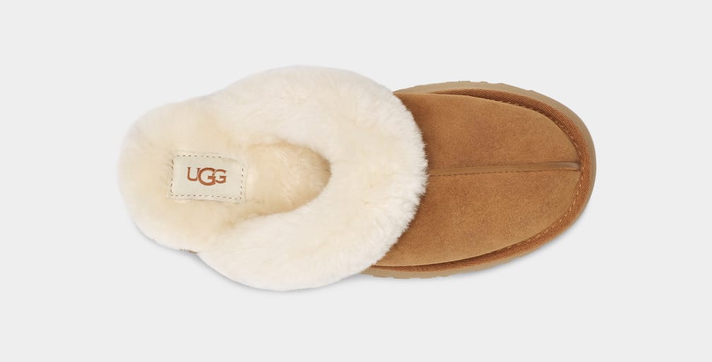 Pantuflas Ugg Disquette Mujer Marrones | Argentina JRNUIMW-15