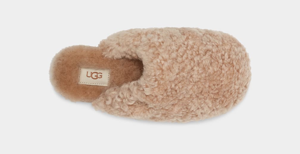 Pantuflas Ugg Maxi Curly Mujer Marrones | Argentina HNXKFED-24