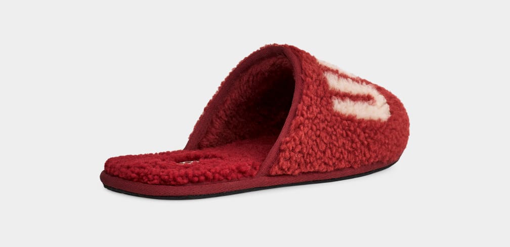 Pantuflas Ugg Scuff Curly Graphic Hombre Rojas Burdeos | Argentina IGXNJBV-07