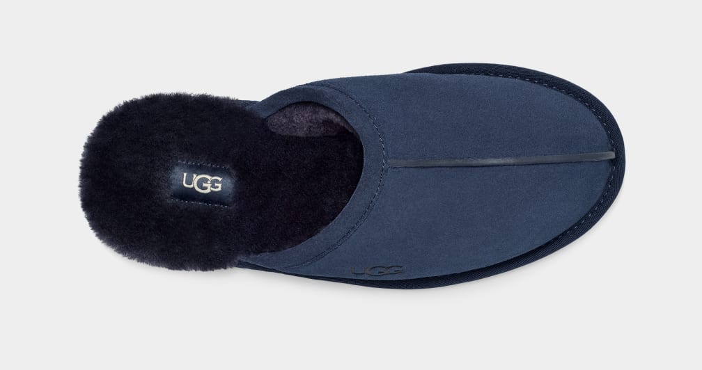 Pantuflas Ugg Scuff Hombre Azules | Argentina IHPMDOY-72