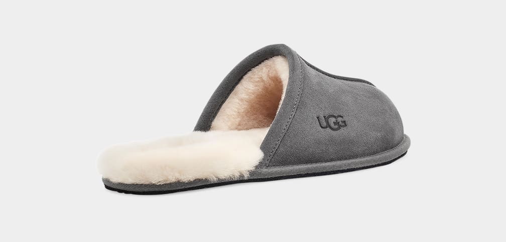 Pantuflas Ugg Scuff Hombre Gris Oscuro | Argentina AFJXPZN-24