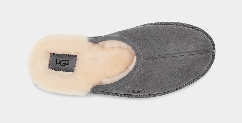 Pantuflas Ugg Scuff Hombre Gris Oscuro | Argentina AFJXPZN-24