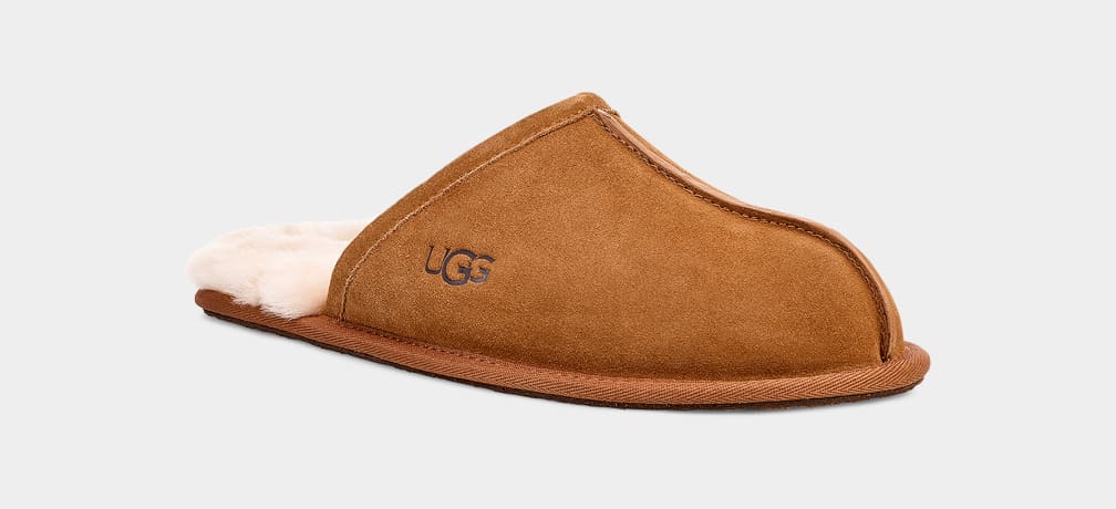 Pantuflas Ugg Scuff Hombre Marrones | Argentina PUTENQL-86