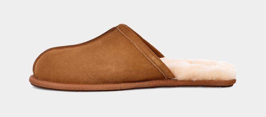 Pantuflas Ugg Scuff Hombre Marrones | Argentina PUTENQL-86