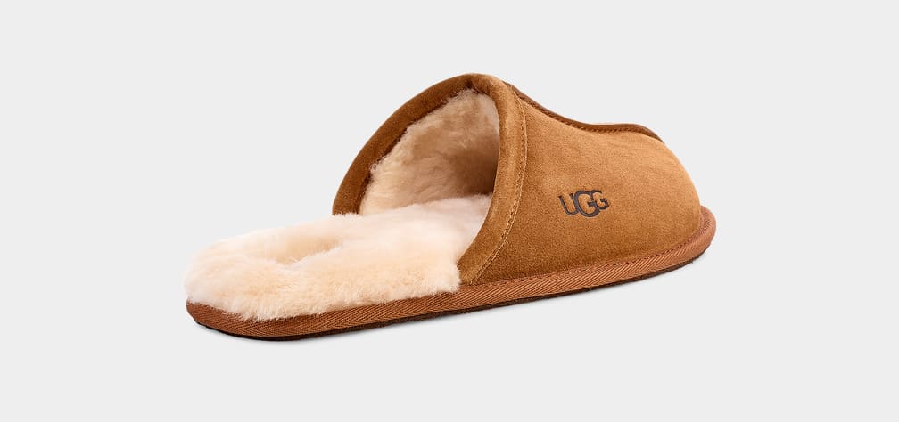 Pantuflas Ugg Scuff Hombre Marrones | Argentina PUTENQL-86