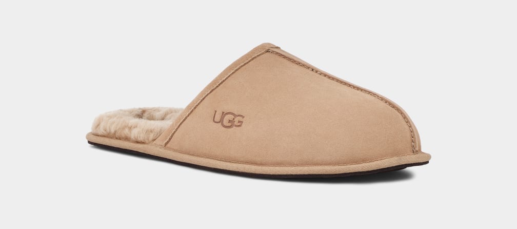 Pantuflas Ugg Scuff Hombre Marrones | Argentina QSOINYC-12