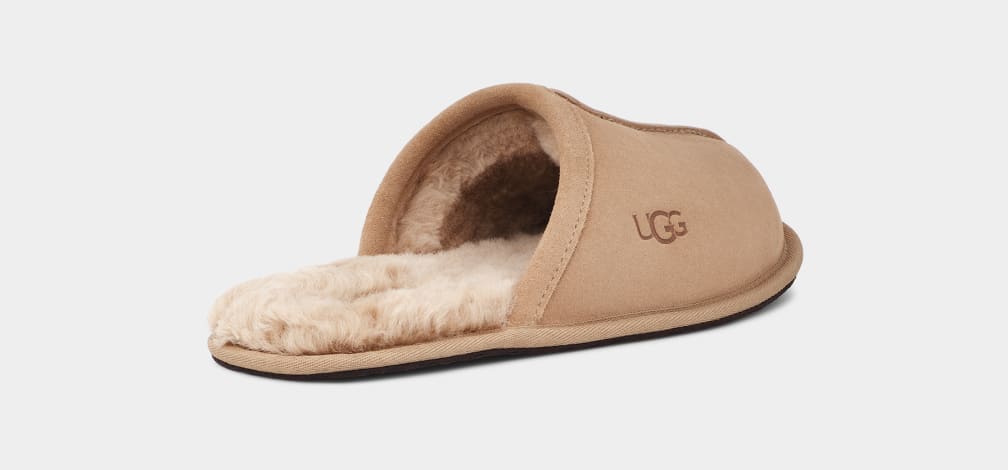 Pantuflas Ugg Scuff Hombre Marrones | Argentina QSOINYC-12