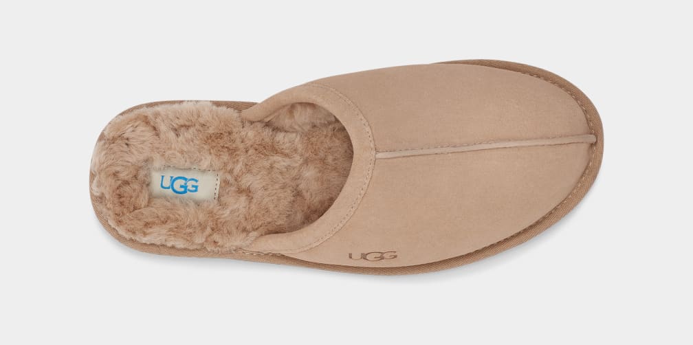 Pantuflas Ugg Scuff Hombre Marrones | Argentina QSOINYC-12