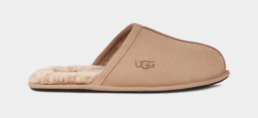 Pantuflas Ugg Scuff Hombre Marrones | Argentina QSOINYC-12