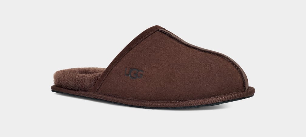 Pantuflas Ugg Scuff Hombre Marrones | Argentina WQPETKJ-62