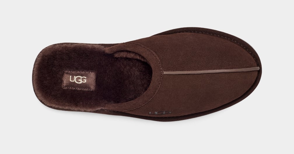 Pantuflas Ugg Scuff Hombre Marrones | Argentina WQPETKJ-62