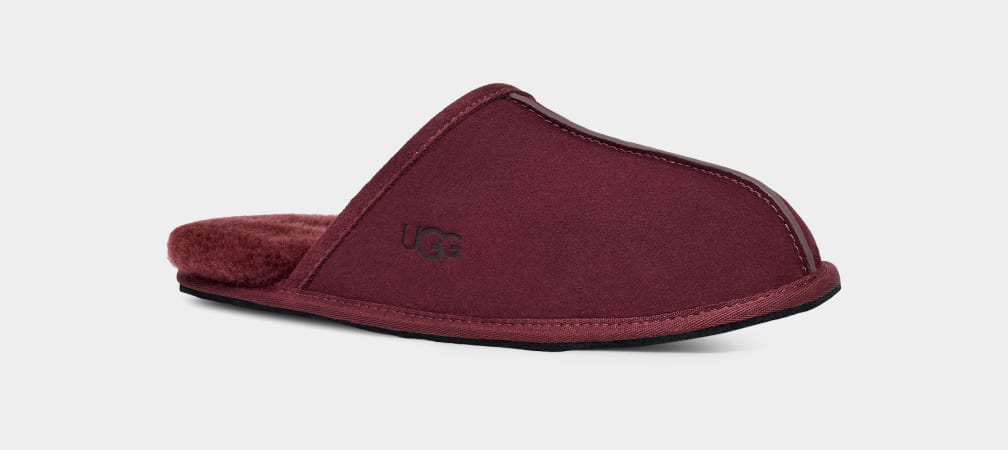 Pantuflas Ugg Scuff Hombre Moradas | Argentina UMVPCQS-24