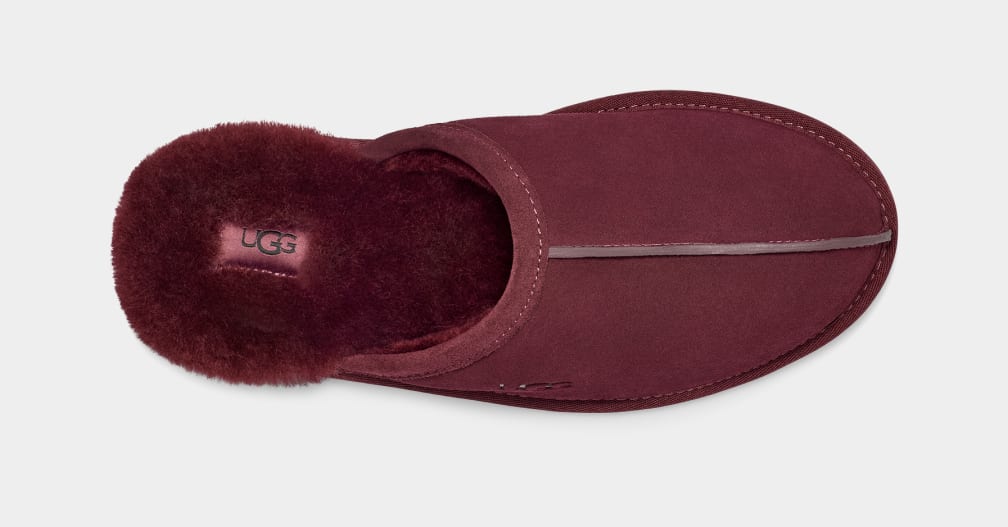 Pantuflas Ugg Scuff Hombre Moradas | Argentina UMVPCQS-24