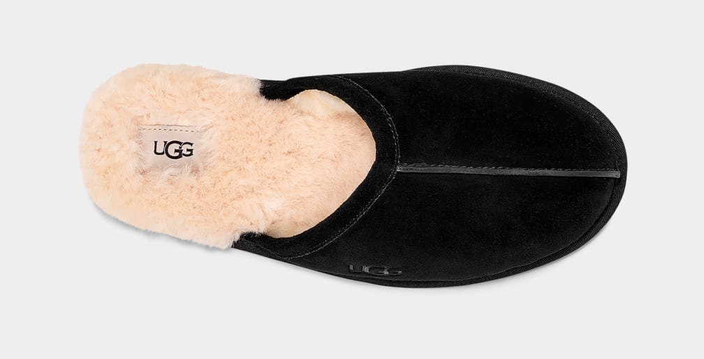 Pantuflas Ugg Scuff Hombre Negras | Argentina JCMUGWS-42