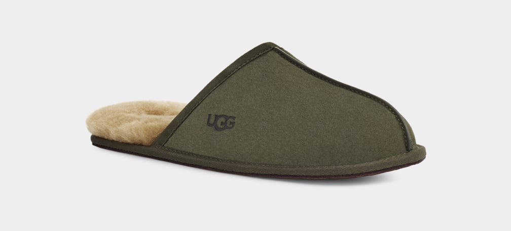 Pantuflas Ugg Scuff Hombre Verde Oliva | Argentina XHSJQZB-25